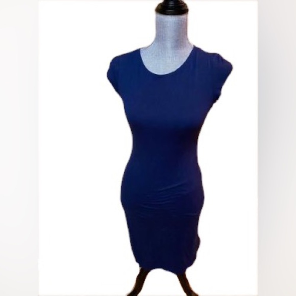 Velvet Torch Blue Dress
